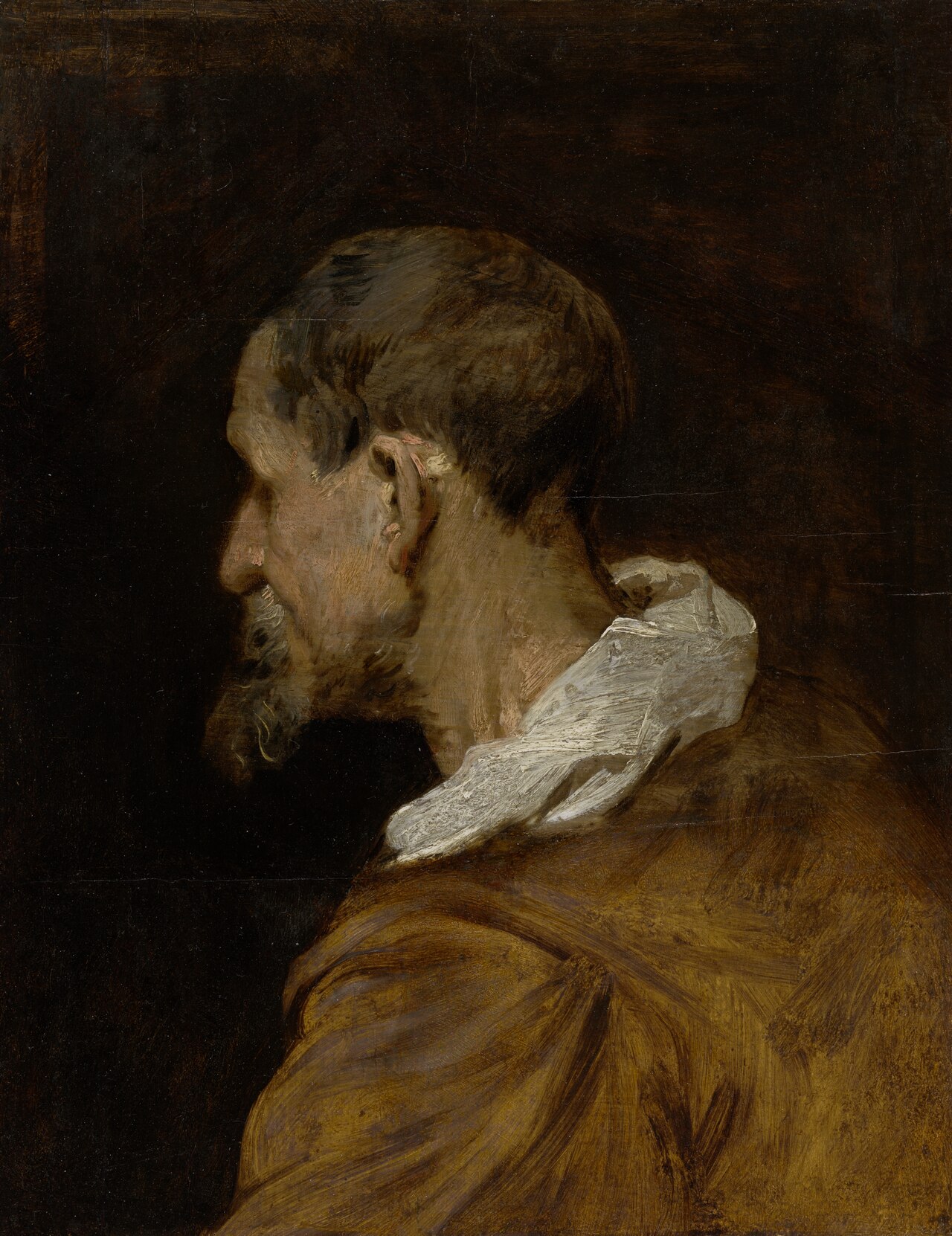 Study Head by Anthony van Dyck (1618)