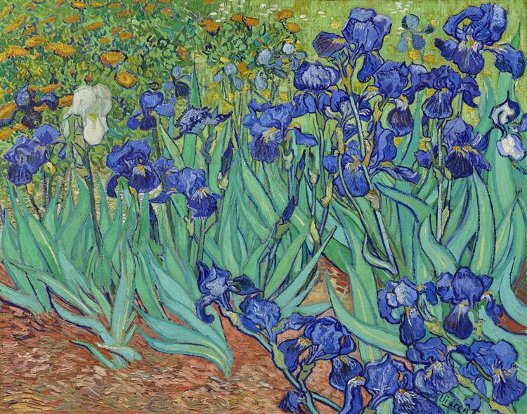 Van Gogh, Lirios